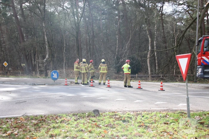 Brandweer zaagt afgebroken tak uit boom