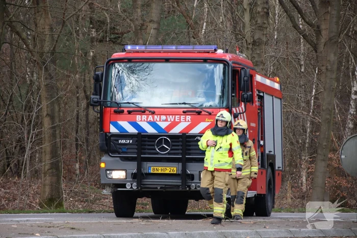 Brandweer zaagt afgebroken tak uit boom