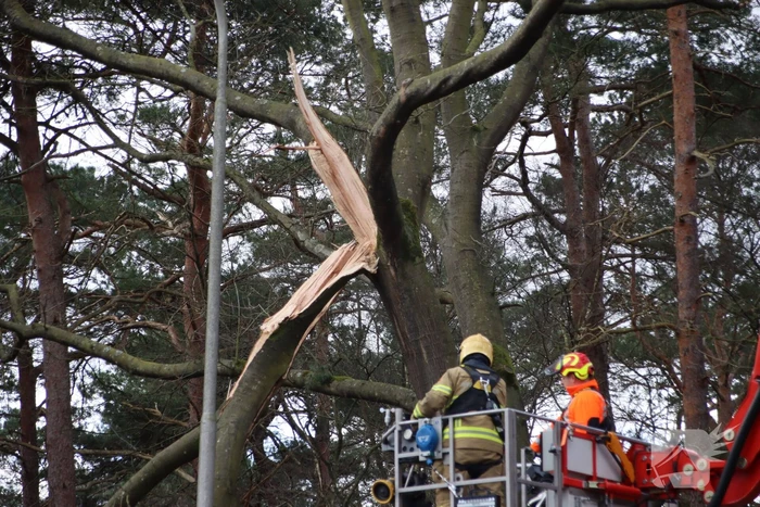 Brandweer zaagt afgebroken tak uit boom