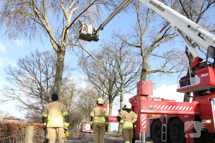 Brandweer zaagt gevaarlijk hangende tak uit boom