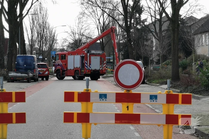 Boom dreigt op woning te vallen
