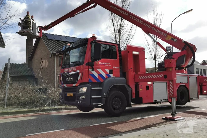 Boom dreigt op woning te vallen