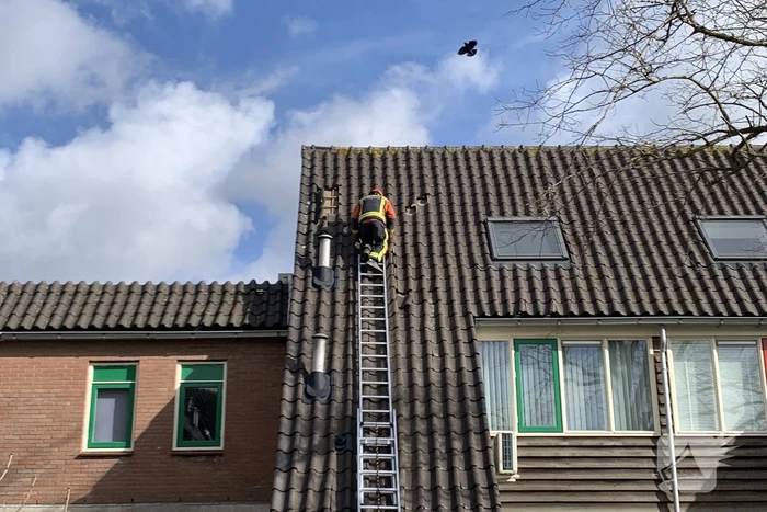 natuur alpherbrink waddinxveen