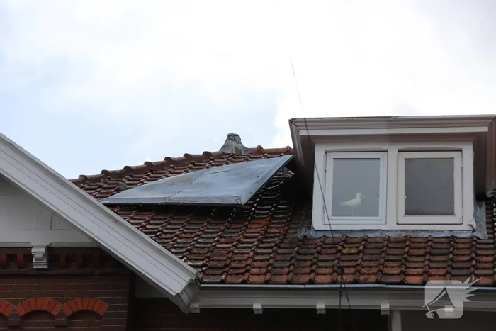 Centrum afgezet vanwege gevaarlijke situatie