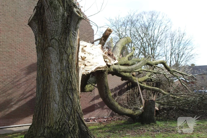Woning zwaar beschadigd door omgewaaide boom