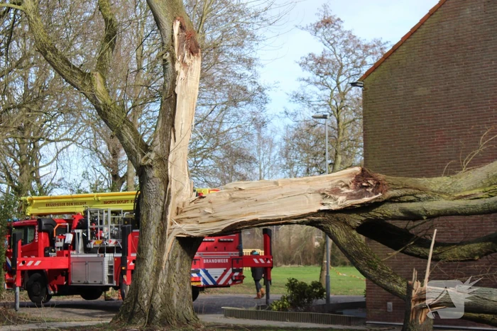 Woning zwaar beschadigd door omgewaaide boom
