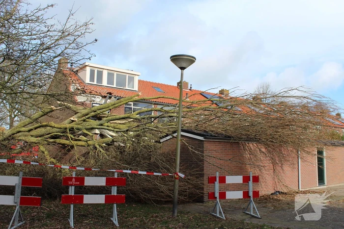 Woning zwaar beschadigd door omgewaaide boom