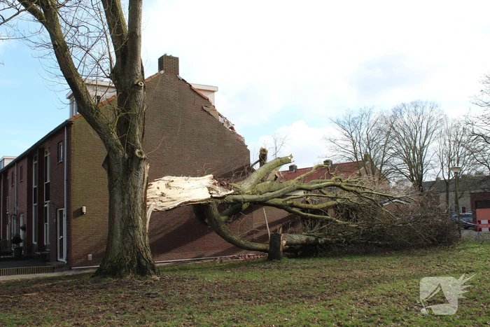 Woning zwaar beschadigd door omgewaaide boom