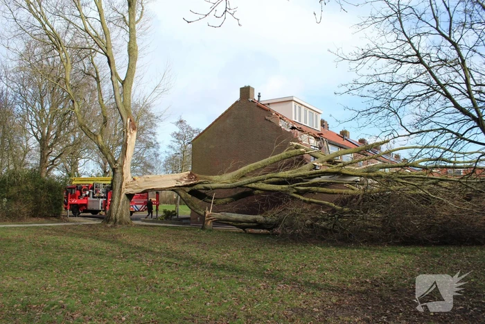 Woning zwaar beschadigd door omgewaaide boom