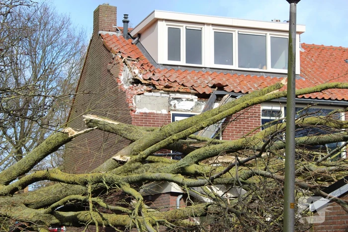 Woning zwaar beschadigd door omgewaaide boom