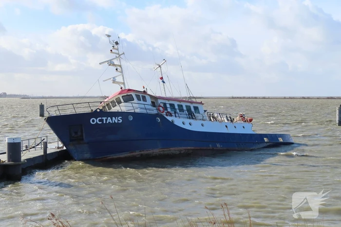 natuur oostvaardersdijk lelystad