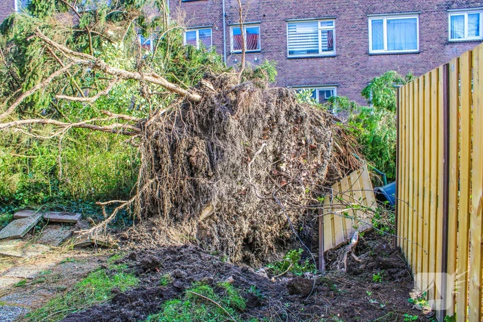 Schade door omgewaaide boom
