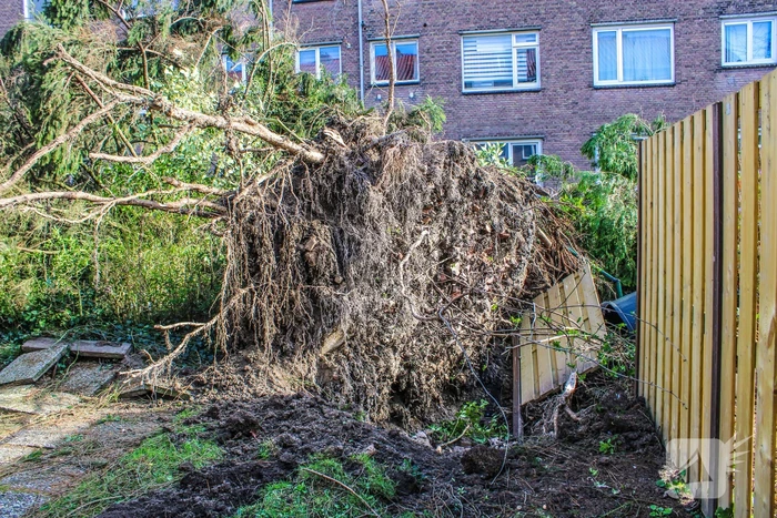 Schade door omgewaaide boom