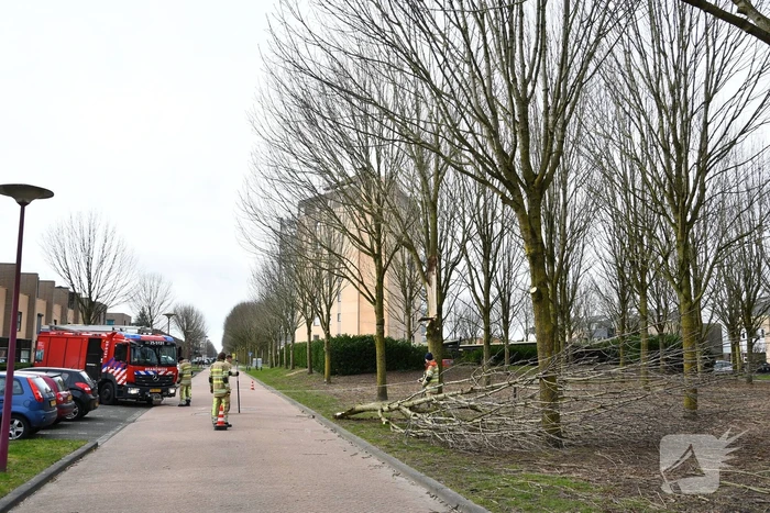 natuur zevenwouden lelystad