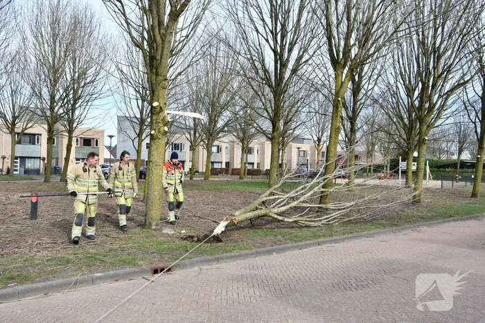 Gevaarlijk hangend deel van boom verwijderd door brandweer