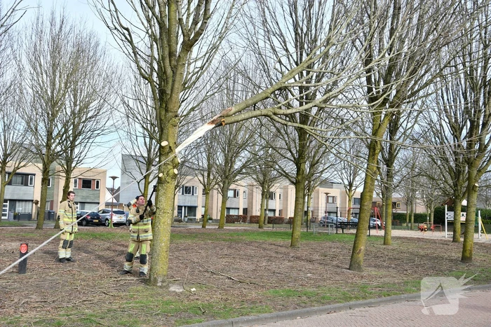 Gevaarlijk hangend deel van boom verwijderd door brandweer