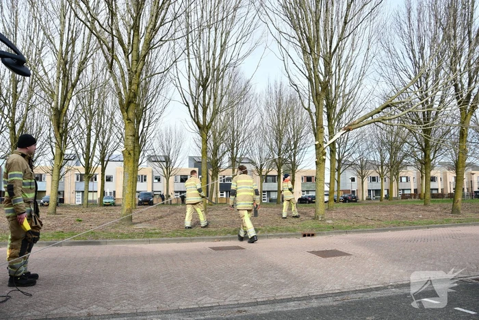 Gevaarlijk hangend deel van boom verwijderd door brandweer