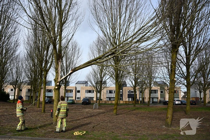 Gevaarlijk hangend deel van boom verwijderd door brandweer