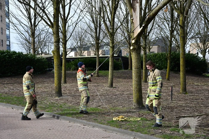 Gevaarlijk hangend deel van boom verwijderd door brandweer
