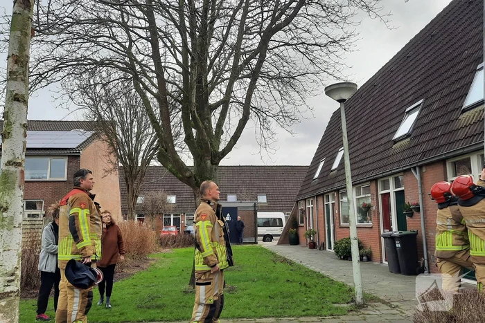 natuur jupiterstraat krommenie