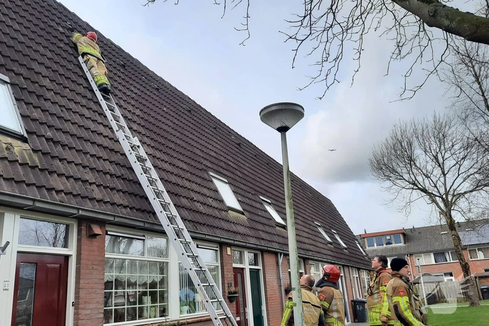 Brandweer plaatst dakpannen terug op woning