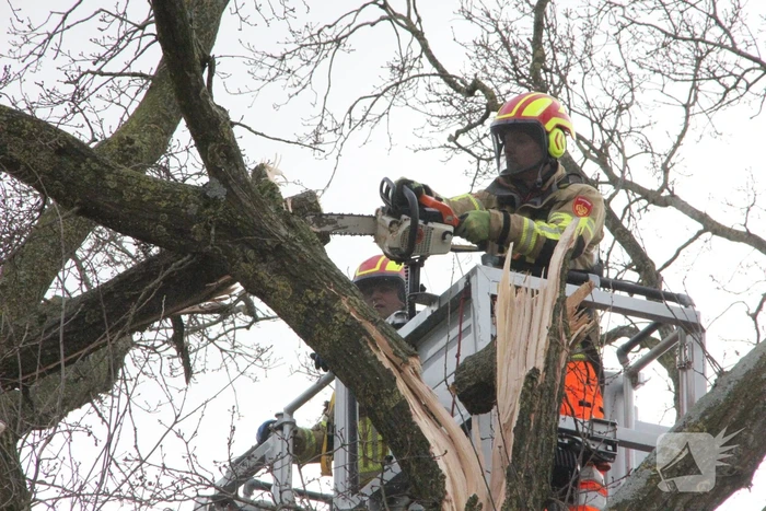 Brandweer verwijdert gevaarlijke hangende takken van bomen