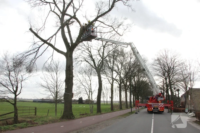 Brandweer verwijdert gevaarlijke hangende takken van bomen