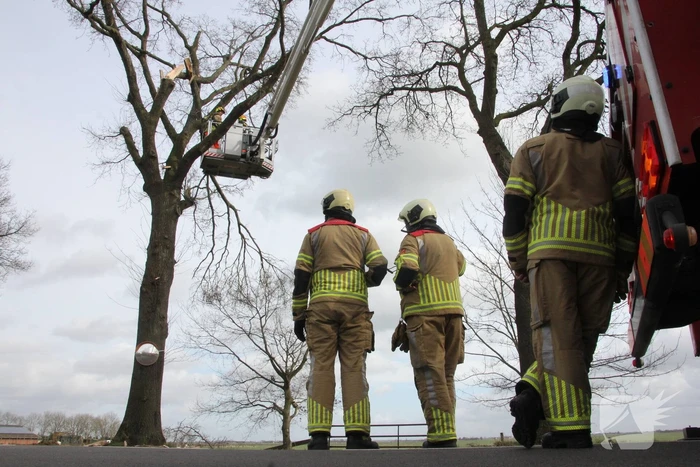 Brandweer verwijdert gevaarlijke hangende takken van bomen