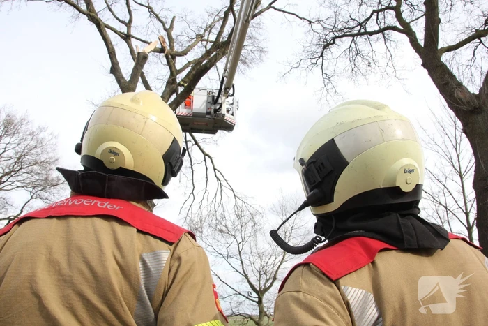 Brandweer verwijdert gevaarlijke hangende takken van bomen