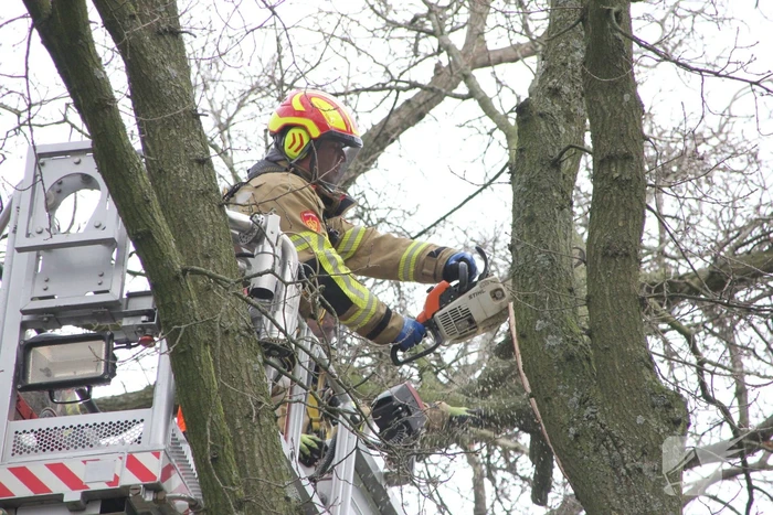 Brandweer verwijdert gevaarlijke hangende takken van bomen