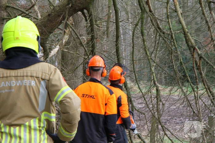 natuur werkmansweg weert