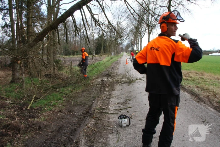Brandweer duwt gevaarlijke boom omver