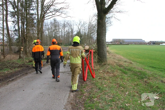 Brandweer duwt gevaarlijke boom omver