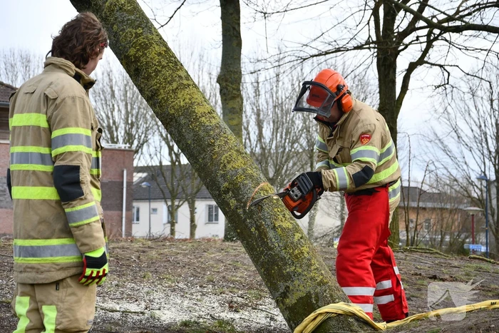 Brandweer ingezet voor twee omgevallen bomen