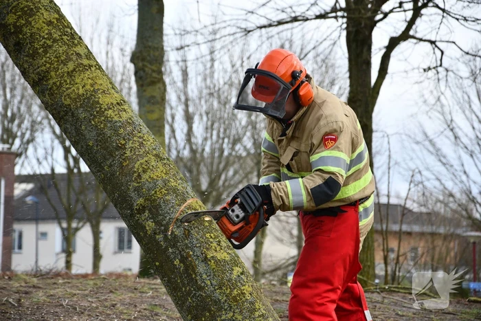 Brandweer ingezet voor twee omgevallen bomen