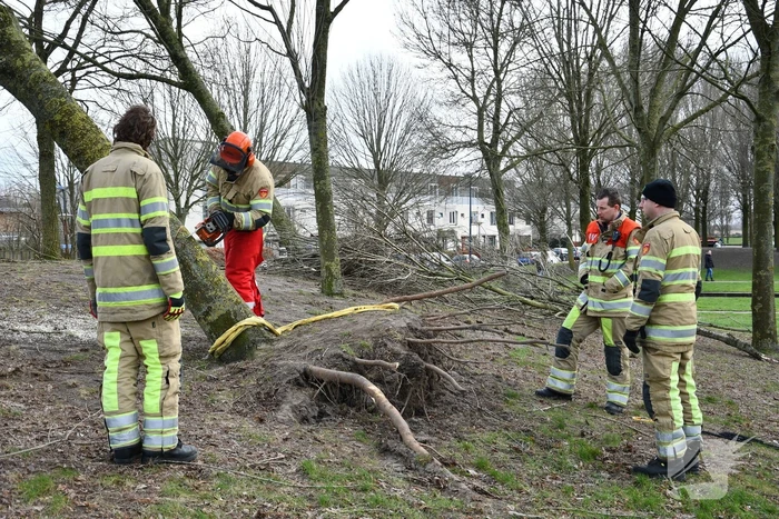 Brandweer ingezet voor twee omgevallen bomen