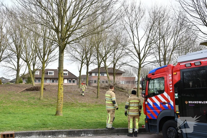 Brandweer ingezet voor twee omgevallen bomen