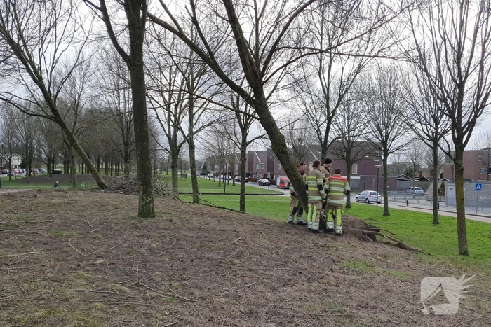 Brandweer ingezet voor twee omgevallen bomen