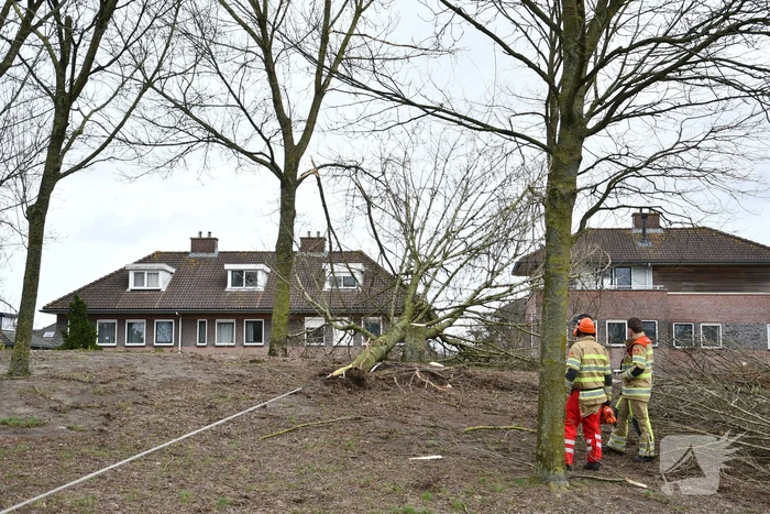 Brandweer ingezet voor twee omgevallen bomen