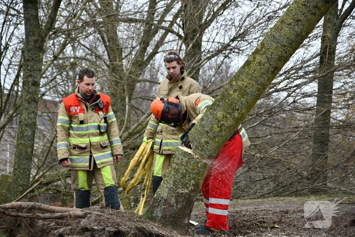 Brandweer ingezet voor twee omgevallen bomen