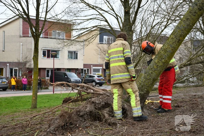 Brandweer ingezet voor twee omgevallen bomen