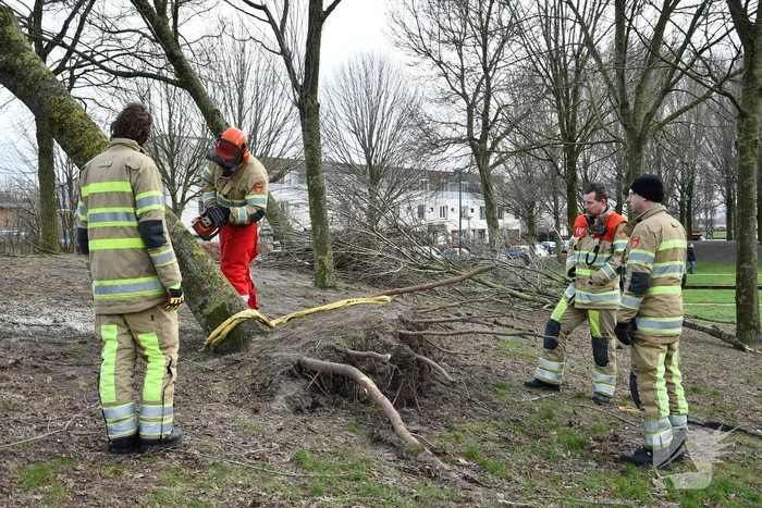 Brandweer ingezet voor twee omgevallen bomen
