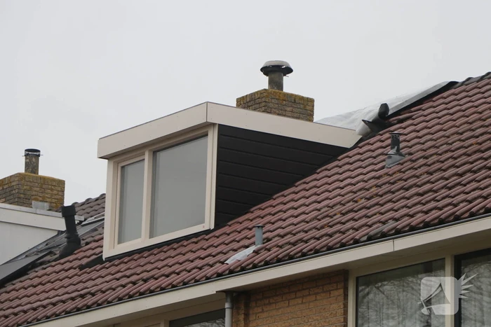 natuur haydnlaan voorschoten