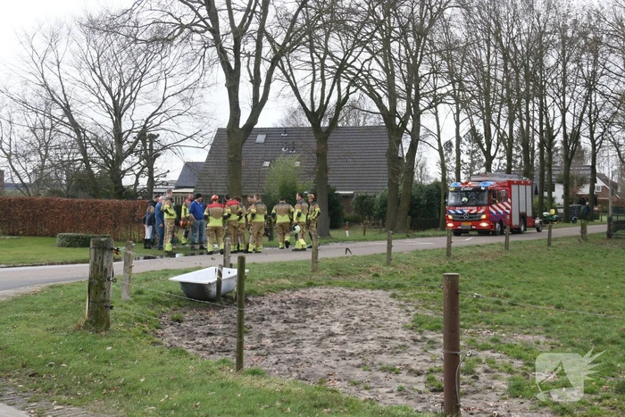 Boom veroorzaakt waterlekkage