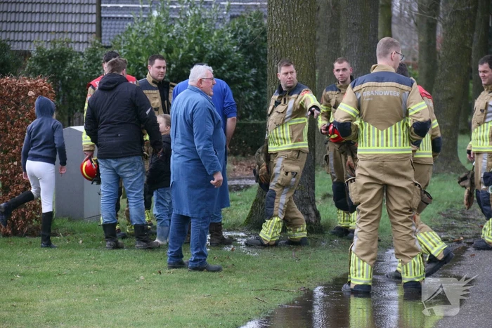 Boom veroorzaakt waterlekkage