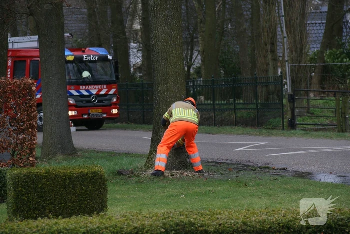 Boom veroorzaakt waterlekkage