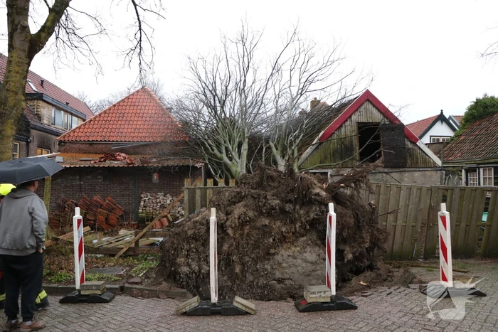 natuur loethe zoeterwoude