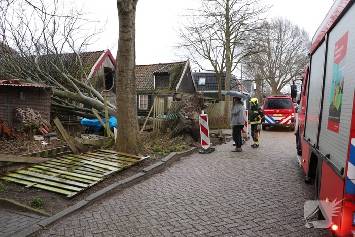 Grote boom valt op woningen en schuur