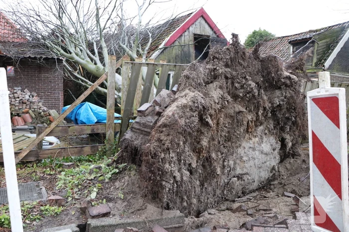 Grote boom valt op woningen en schuur