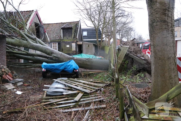Grote boom valt op woningen en schuur